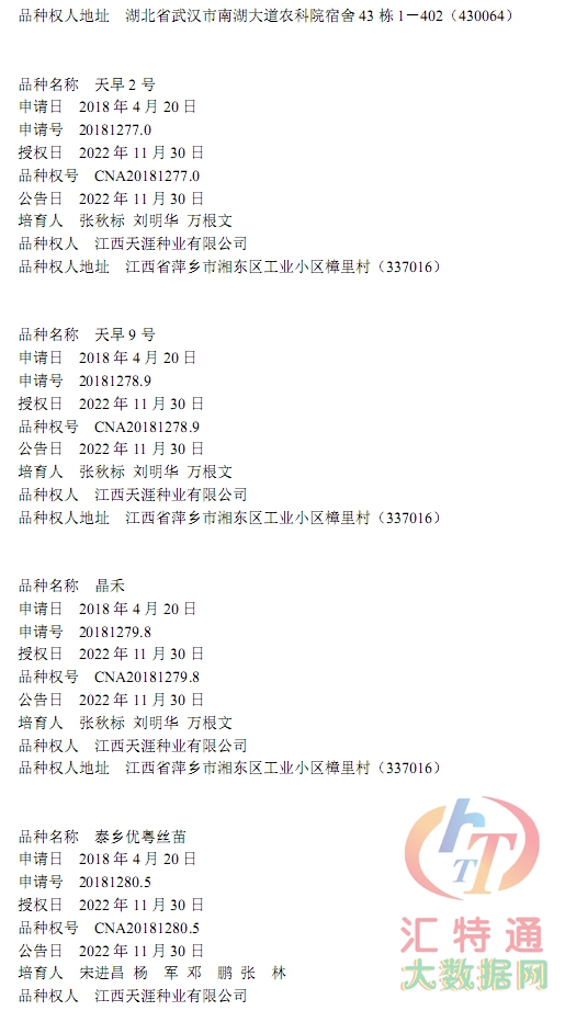 水稻新品種12.jpg 水稻新品種12.jpg