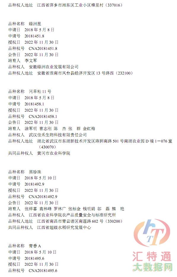 水稻新品種13.jpg 水稻新品種13.jpg