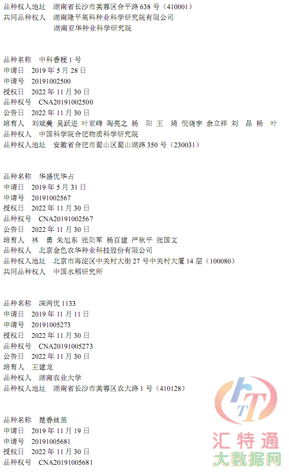 水稻新品種28.jpg 水稻新品種28.jpg