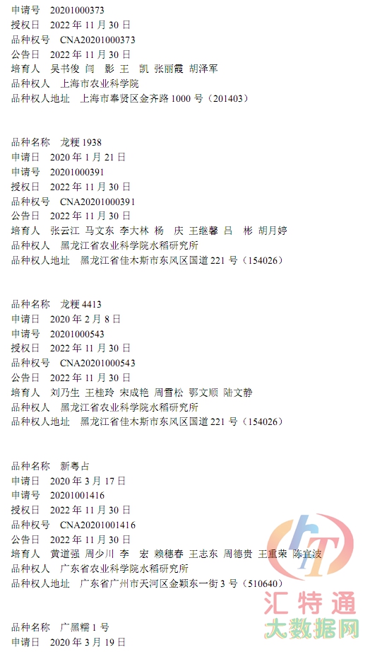 水稻新品種31.jpg 水稻新品種31.jpg