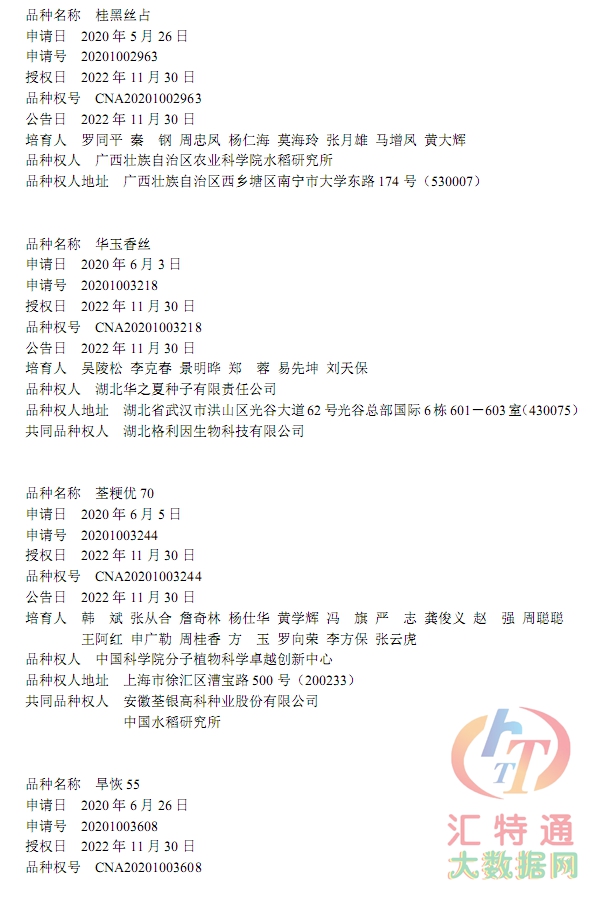 水稻新品種36.jpg 水稻新品種36.jpg