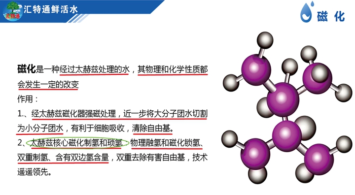 7磁化720.jpg 7磁化720.jpg