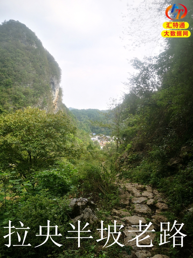 上科修路到高梁廠正式開工4.jpg 上科修路到高梁廠正式開工4.jpg