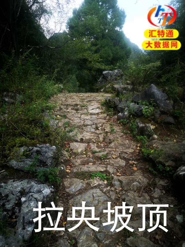 上科修路到高梁廠正式開工11.jpg 上科修路到高梁廠正式開工11.jpg