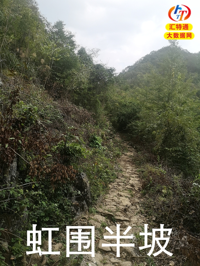 上科修路到高梁廠正式開工14.jpg 上科修路到高梁廠正式開工14.jpg