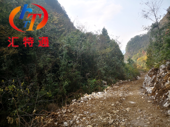 者密鎮(zhèn)茂村村上科至高梁廠公路浪姐5.jpg